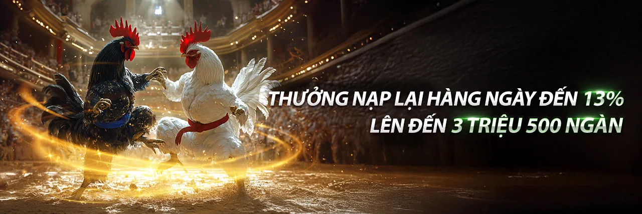 Chương trình VIP độc quyền của 98win01 casino